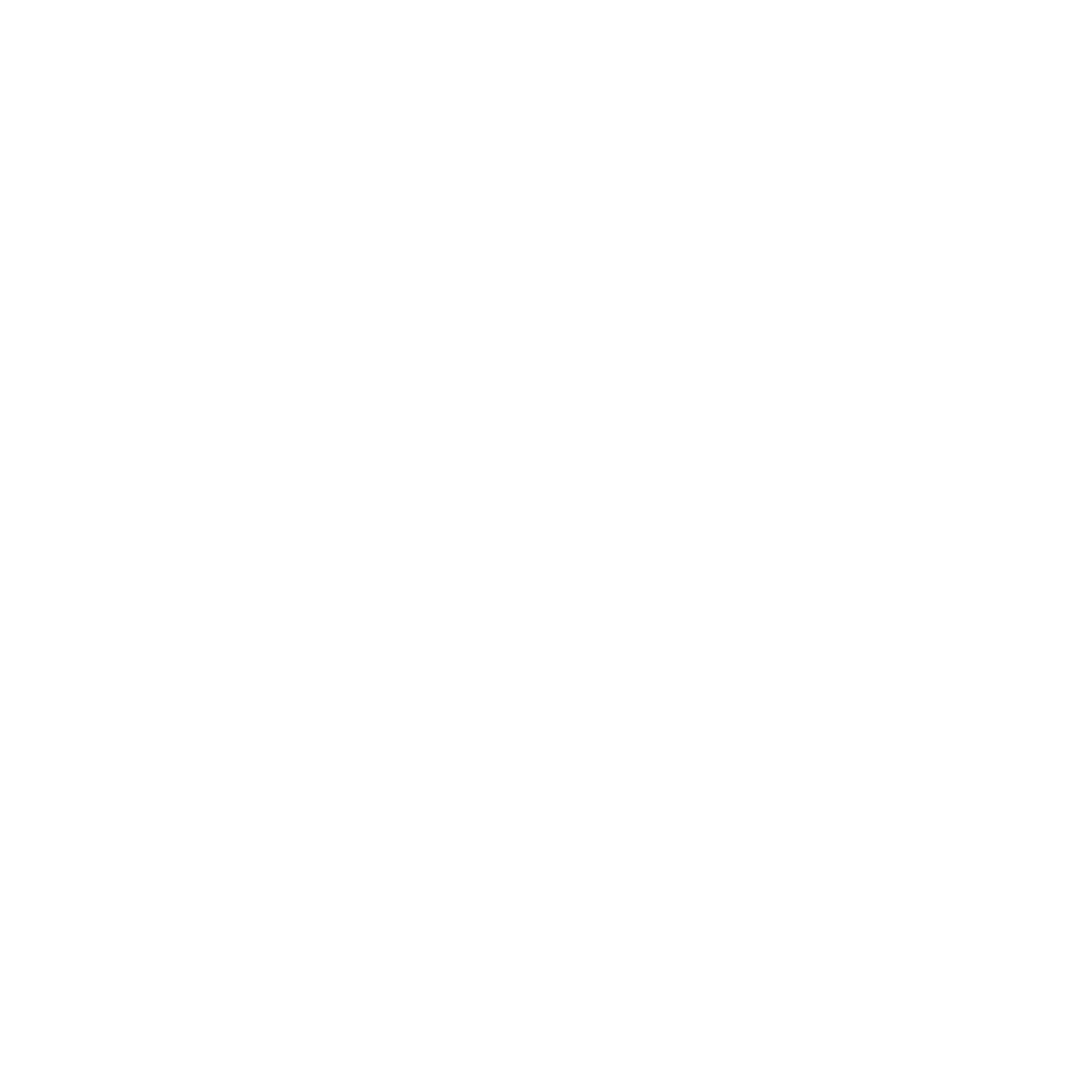 feature-item-1