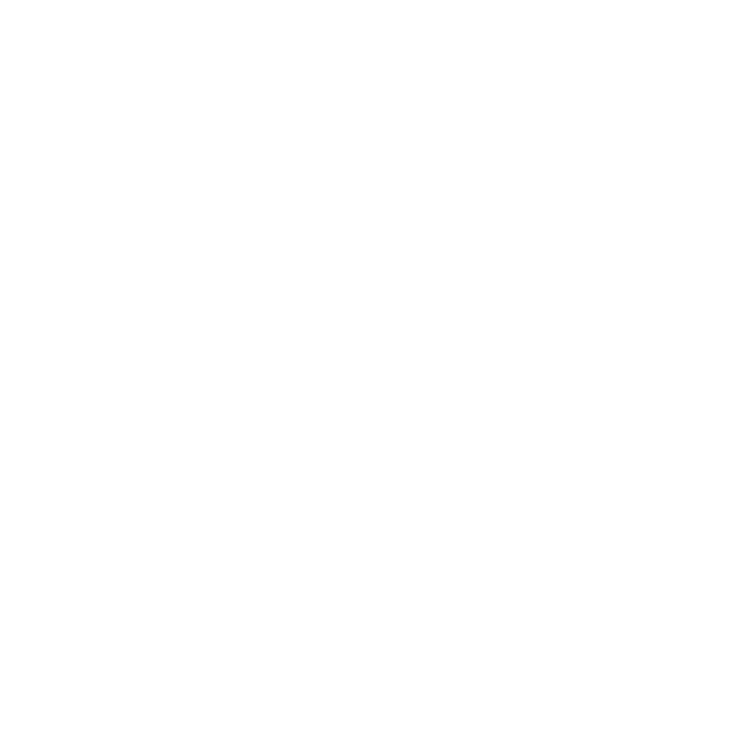 feature-item-4